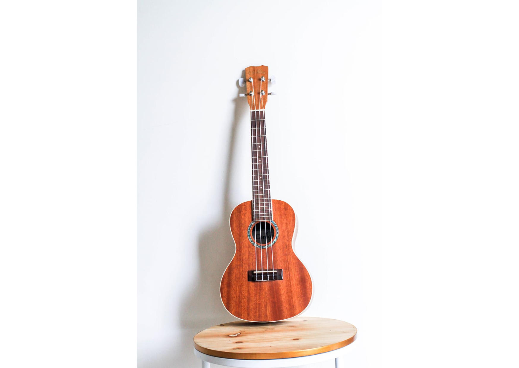 Ukulele